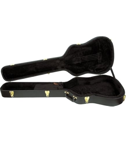 Amazon.com: Ibanez SGBE50C Hardshell Acoustic Bass Guitar Case